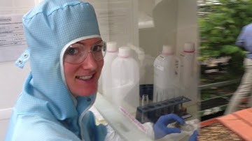 NRG Trainee Programma