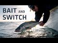 Bait and Switch | A Skwala Film Featuring Miles Marquez & Capt. Arthur Cortes