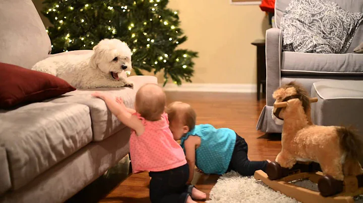 Amelia, Reese, Rocking Giraffe and Horse, and Wrig...