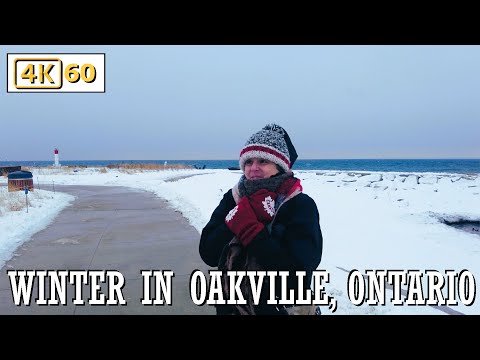 Winter Snow in Oakville, Ontario