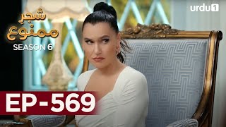 Shajar-e-Mamnu | Episode 569 | Turkish Drama  | Forbidden Fruit | Urdu Dubbing | 11th July 2023