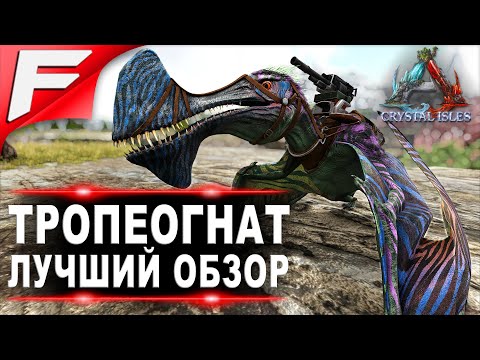 Видео: Тропеогнат (Tropeognathus) в ARK. Лучший обзор: приручение, разведение и способности  в АРК