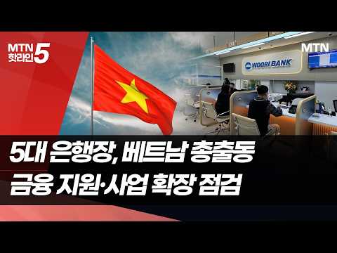 5대 은행장, 일제히 베트남으로…현지 진출 확대 점검 / 머니투데이방송 (뉴스)