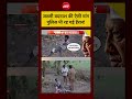 UP Police Encounter Viral Video: जख्मी बदमाश की ऐसी मांग, पुलिस भी रह गई हैरान!  #cmyogi #uppolice