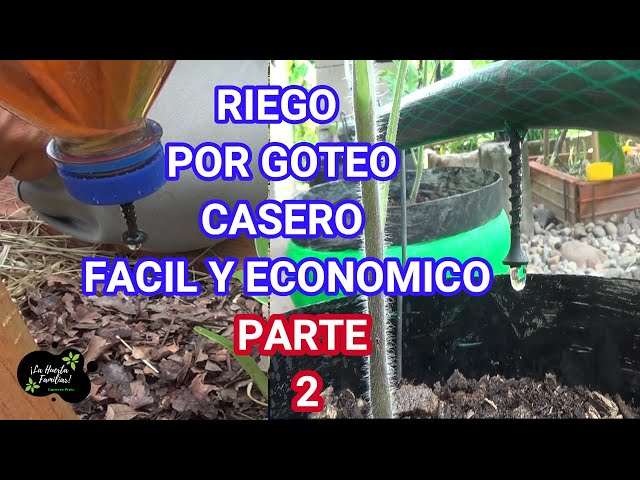 Cómo hacer un riego por goteo casero ▷ Fácil