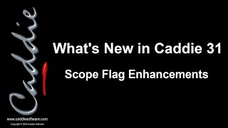 Scope Flag Enhancements