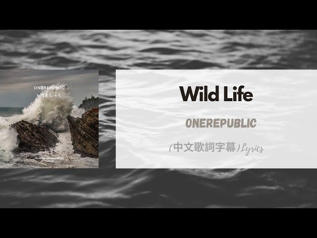 WILD LIFE (TRADUÇÃO) - OneRepublic 