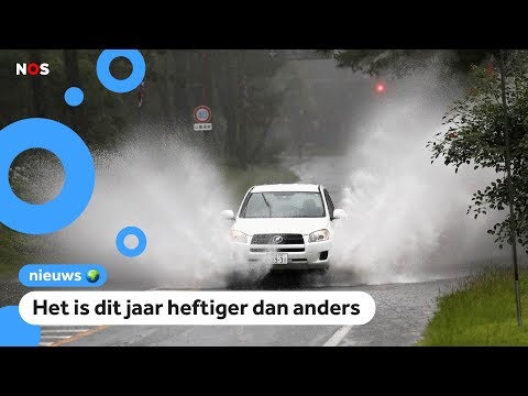 Video: Waarom worden Japanse huizen afgeschreven?