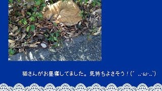 音フェチ 靴の音 Asmr Youtube 音フェチ 靴の音 Asmr Youtube