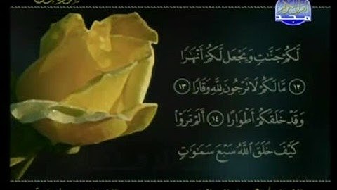 سورة نوح - للقارئ محمد البراك