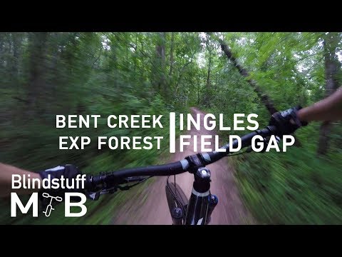 Mountain Biking Ingles Field Gap in Bent Creek, NC | The perfect companion to a Green's Lick ride