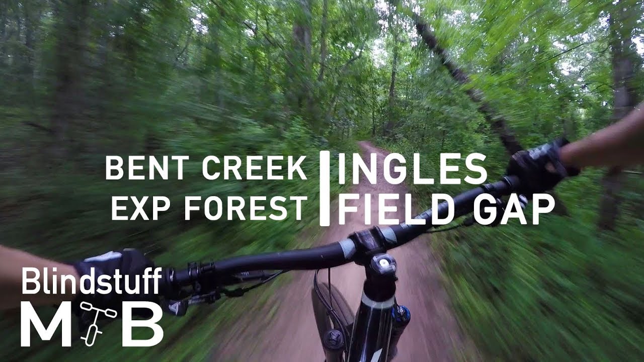 Mountain Biking Ingles Field Gap in Bent Creek, NC | The perfect companion to a Green's Lick ride