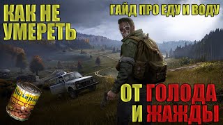 Как не умереть в первые минуты игры в DayZ(от голода и жажды)