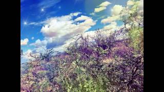 IMG 8723 IMG 8723