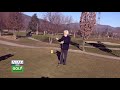 REGOLE  DEL GOLF "colpo disturbato"
