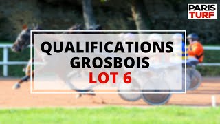 Qualifications Grosbois – Trot attelé – Lot 6 du 05/08/2022