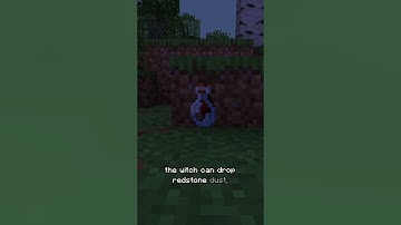 What Minecraft mob has the most drops? #minecraft