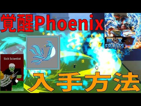 フェニックス覚醒方法、隠しイベント紹介　Phoenix awakening method　Blox Fruits攻略その35【ROBLOX(ロブロックス)】