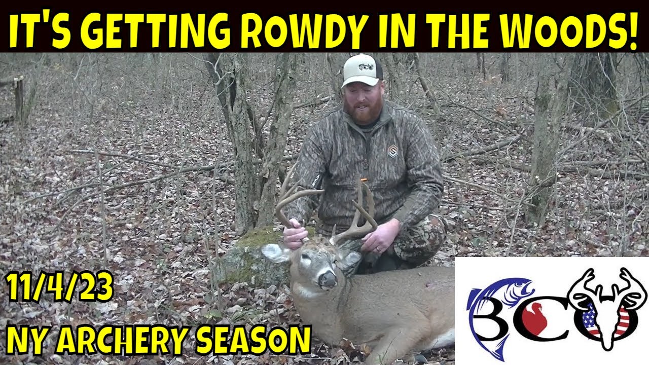 The Woods Are Heating Up With Rut Action Buck Tags Punched Bco the-woods-are-heating-up-with-rut-action-buck-tags-punched-bco