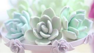 How to make a succulent (for beginners)