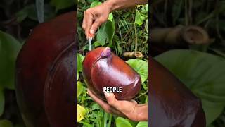 Fruits That Look Like Alien Lifeforms