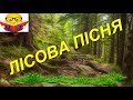 "ЛІСОВА ПІСНЯ (скорочено) Українка Леся Аудіо Книги Відео (українською)