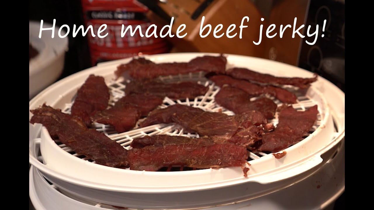 Making Beef Jerky at Home with the Gourmia GFD 1950 9-Tray