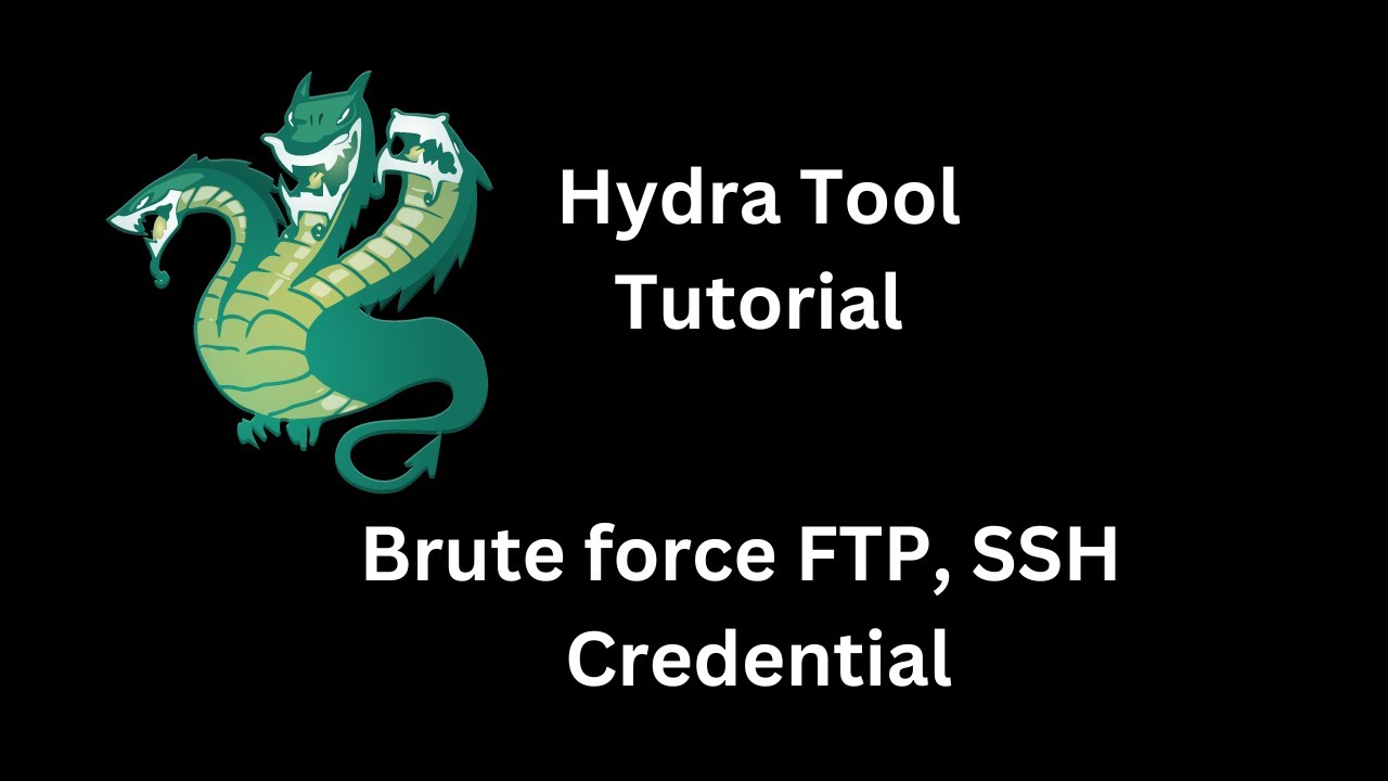 Hydra Tool Tutorial YouTube