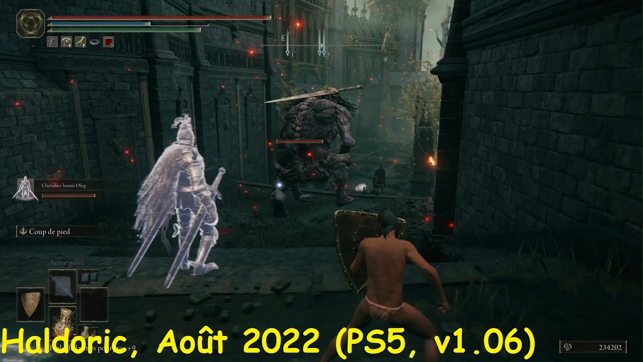 Elden Ring, TEST des Cendres de Chevalier Banni Oleg. YouTube