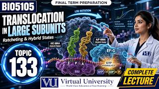Topic 133 - The translocation in the large subunits | Cell Biology | BIO5105 | Virtual University