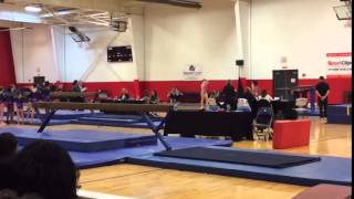 Vault-Yurchenko Layout- Level 10 Class of 2020