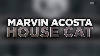 Marvin Acosta - House Cat (Official Audio) #Housemusic