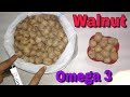 Benefits of Walnuts | अखरोट खाने के फायदे | In Hindi