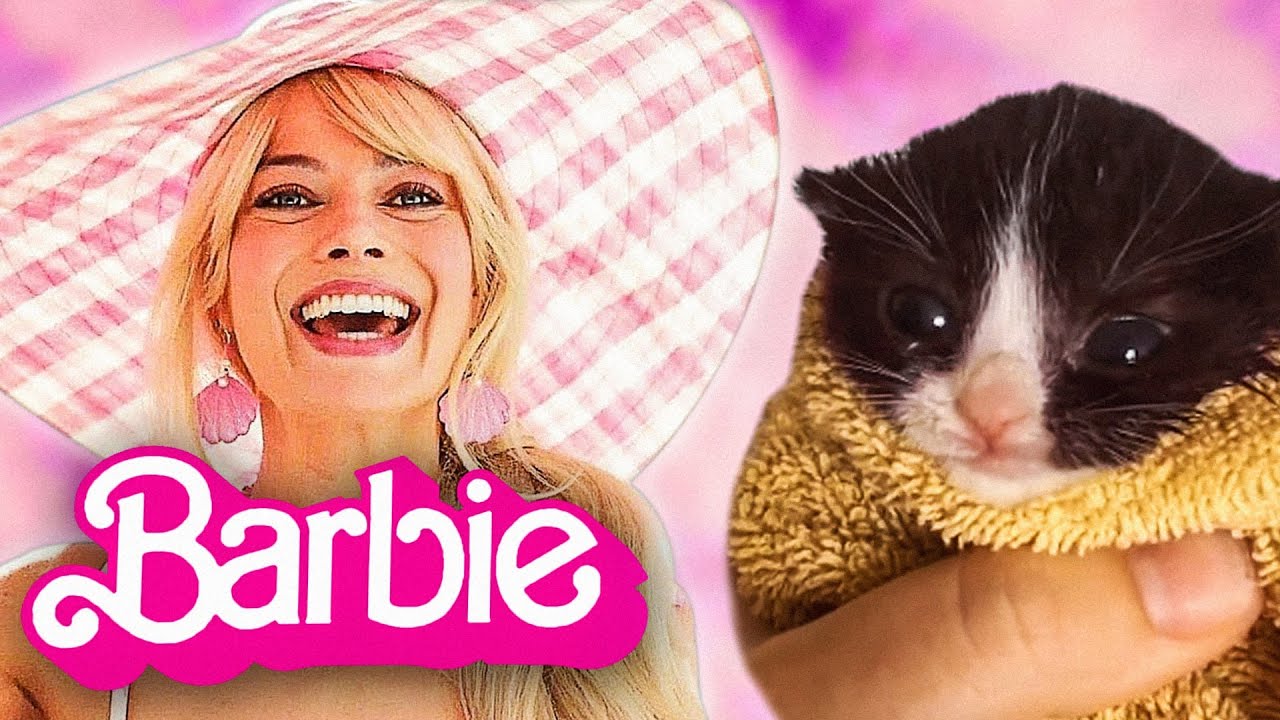 Kitten Meows x Barbie Girl
