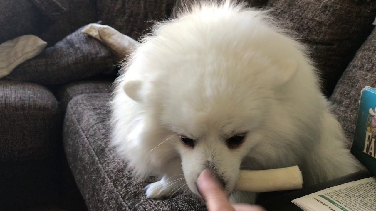 Mistä Pertti tykkää?