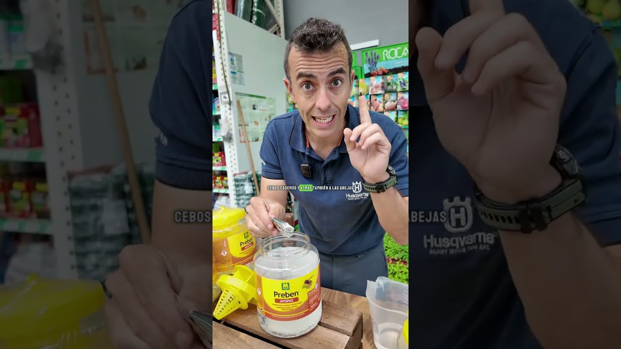 ¡Adiós avispas! Así se usa la trampa más eficaz del verano 🐝☀️