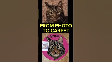 Realistic Cat Rug Tufting | Handmade Pet Portrait from Photo 🐱✨ #tufting #art #cat #craft