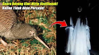 Download Lagu MIRIP SUARA KUNTILANAK.!! 5 Suara Burung Paling Horor \u0026 Asli Bikin Merinding MP3