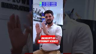 How to Study Veterinary Science Abroad | Animal Husbandry Full Guide for International Student