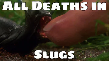 All Deaths in Slugs (1988)