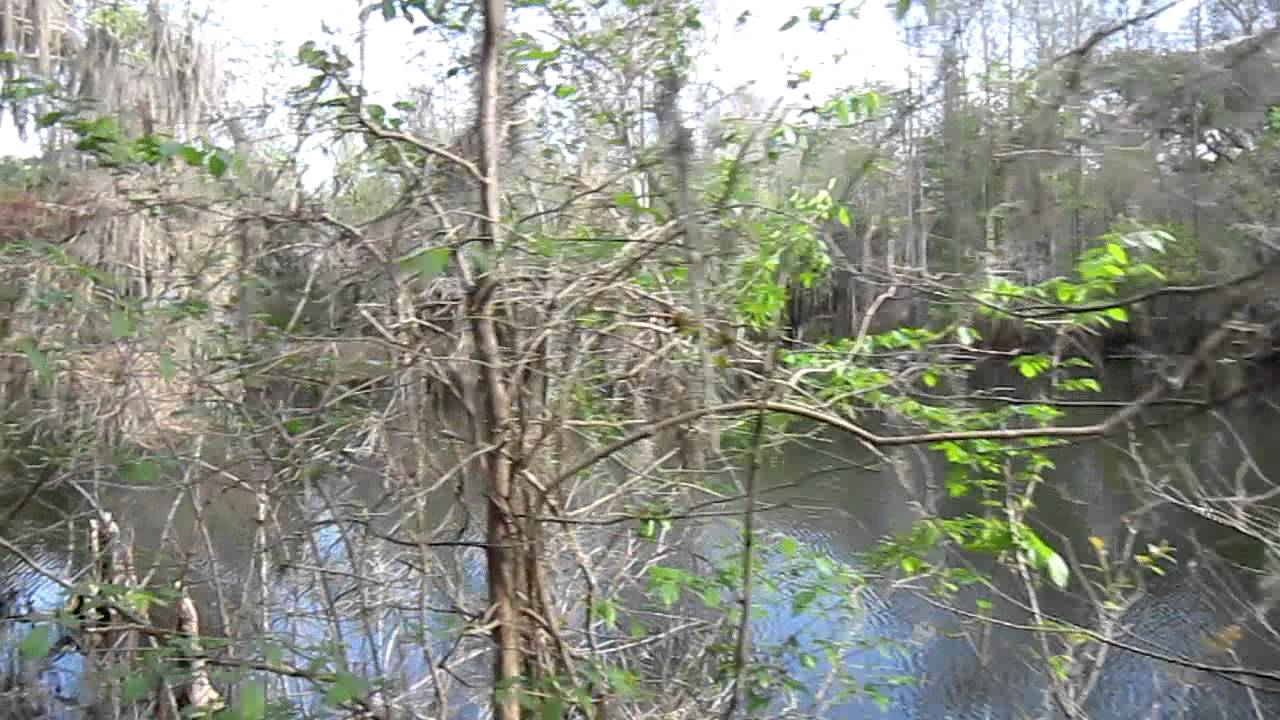 indian mounds in florida Trout Creek Boardwalk at Lower Hillsborough Wilderness Preserve