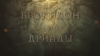 The Witcher: Брокилон и Дриады