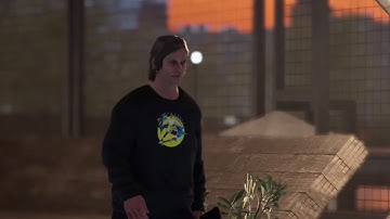 Last Session Skate Sim Video Before [1.0]