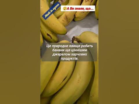 Цікаві факти про банани. А Ви знали, що... - YouTube