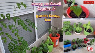 My Balcony Garden Tour| எனது பால்கனி தோட்டம்| Terrace Garden Tour| Maadi Thottam| Tamil| Vlog