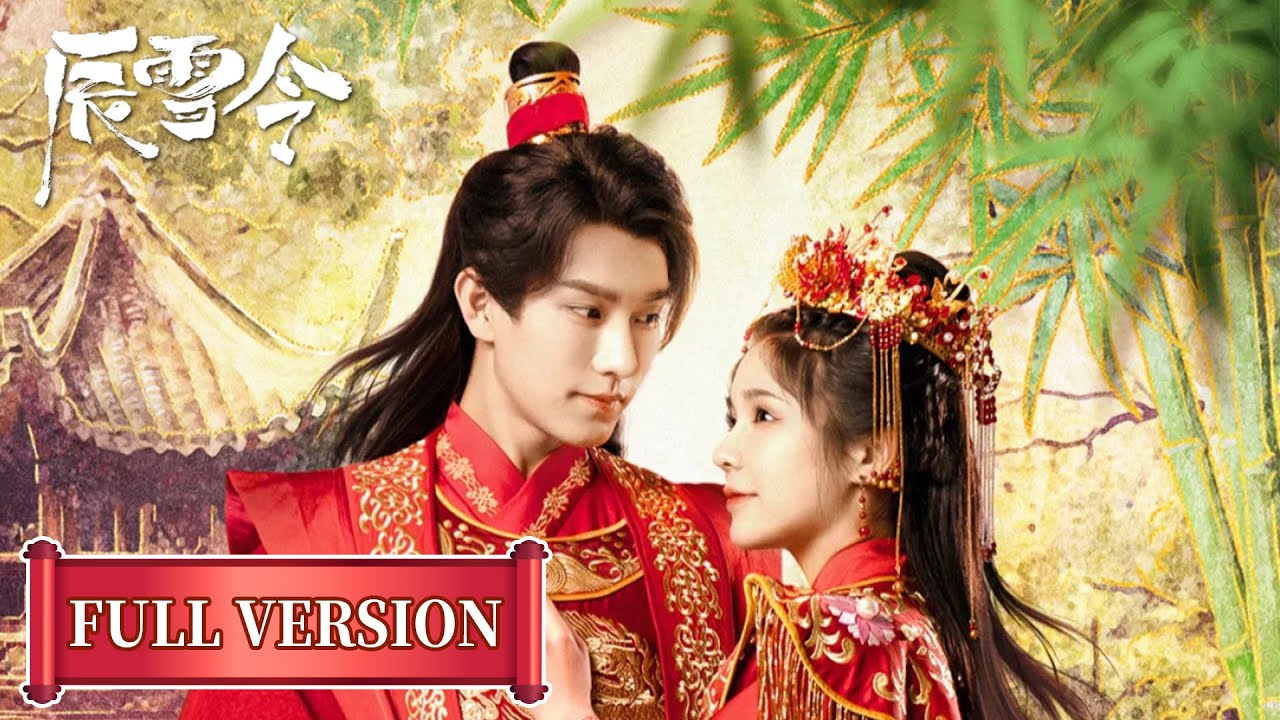 辰雪令：編劇穿越救男主