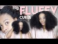 Big Fluffy Curls For The Winter 😍 | Pre Plucked HD Lace Curly Wig ♡  Wiggins Hair