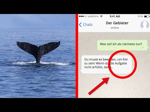 Blue Whale Challenge (Ein tödliches Spiel)