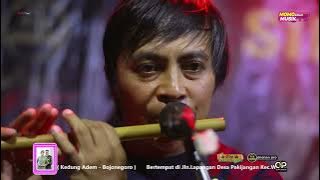 ✅ LIVE STREAMING MOMO MUSIC   LAPANGAN PAKIJANGAN WONOREJO PASURUAN    DHEHAN PRO AUDIO