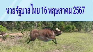 หวยรัฐบาลไทย 16 พฤษภาคม 2567